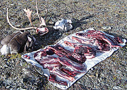 Freezing and Storing Wild Game - Harvesting Nature